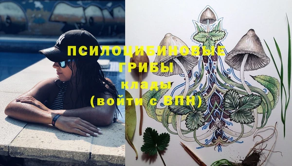 кокаин колумбия Инсар