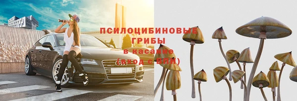 ECSTASY Иннополис