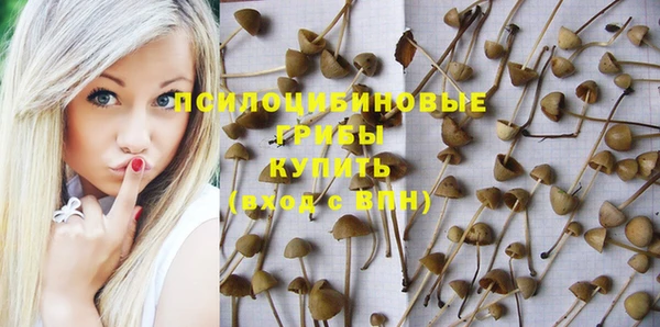 МДМА Инта