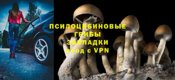 ECSTASY Иннополис