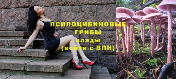 кокаин колумбия Инсар