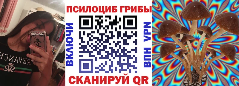 Купить  Сухой Лог  Галлюциногенные грибы ЛСД 